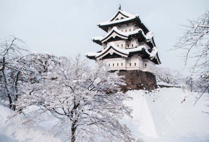 Aomori - Tokyo - Fukushima - Iwate
