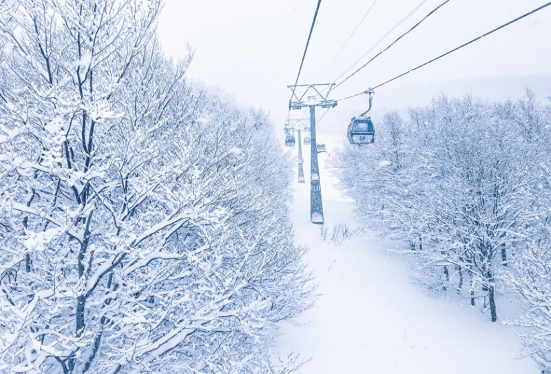 Free &amp; Easy Aomori