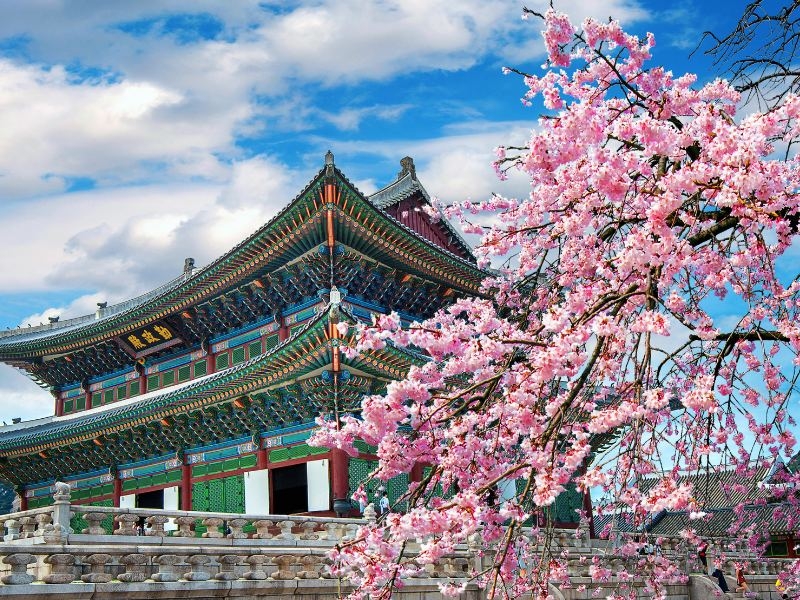 Khám Phá Xứ Sở Kim Chi Hàn Quốc
