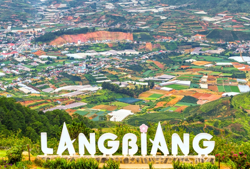 TOUR ĐÀ LẠT –THÀNH PHỐ NGÀN HOA