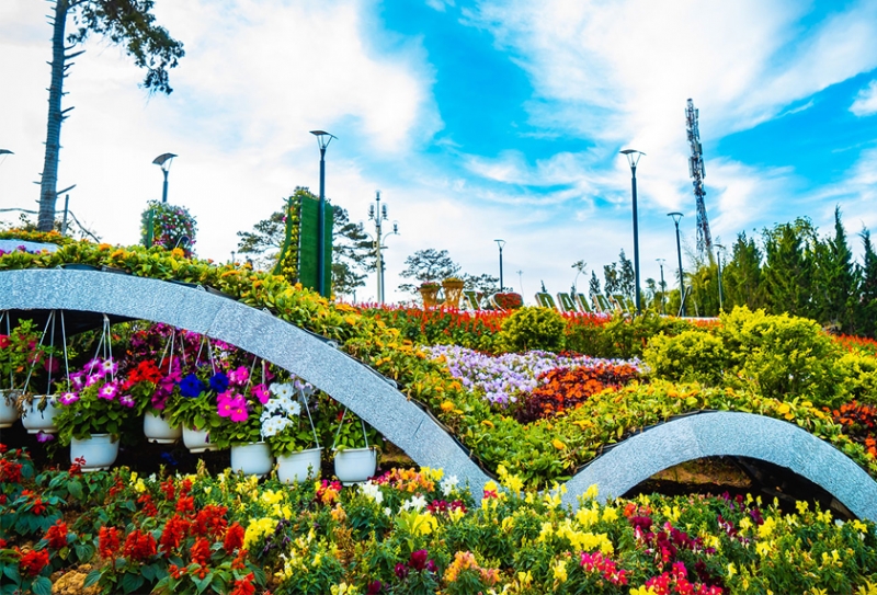 TOP 7 TOUR ĐÀ LẠT 1 NGÀY MỚI NHẤT 2022